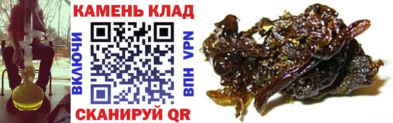 Купить закладки  Бердск  ГАШ Cannabis 
