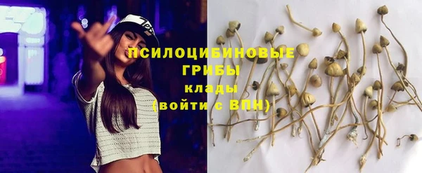 не бодяженный Лиски