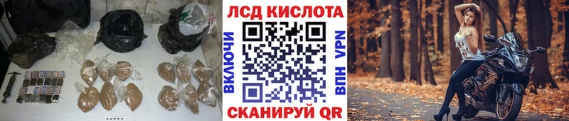Лсд 25 экстази ecstasy  Купить закладки  Бердск 