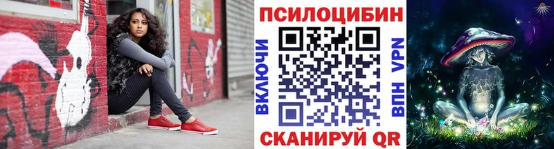 Купить Бердск Галлюциногенные грибы Magic Shrooms